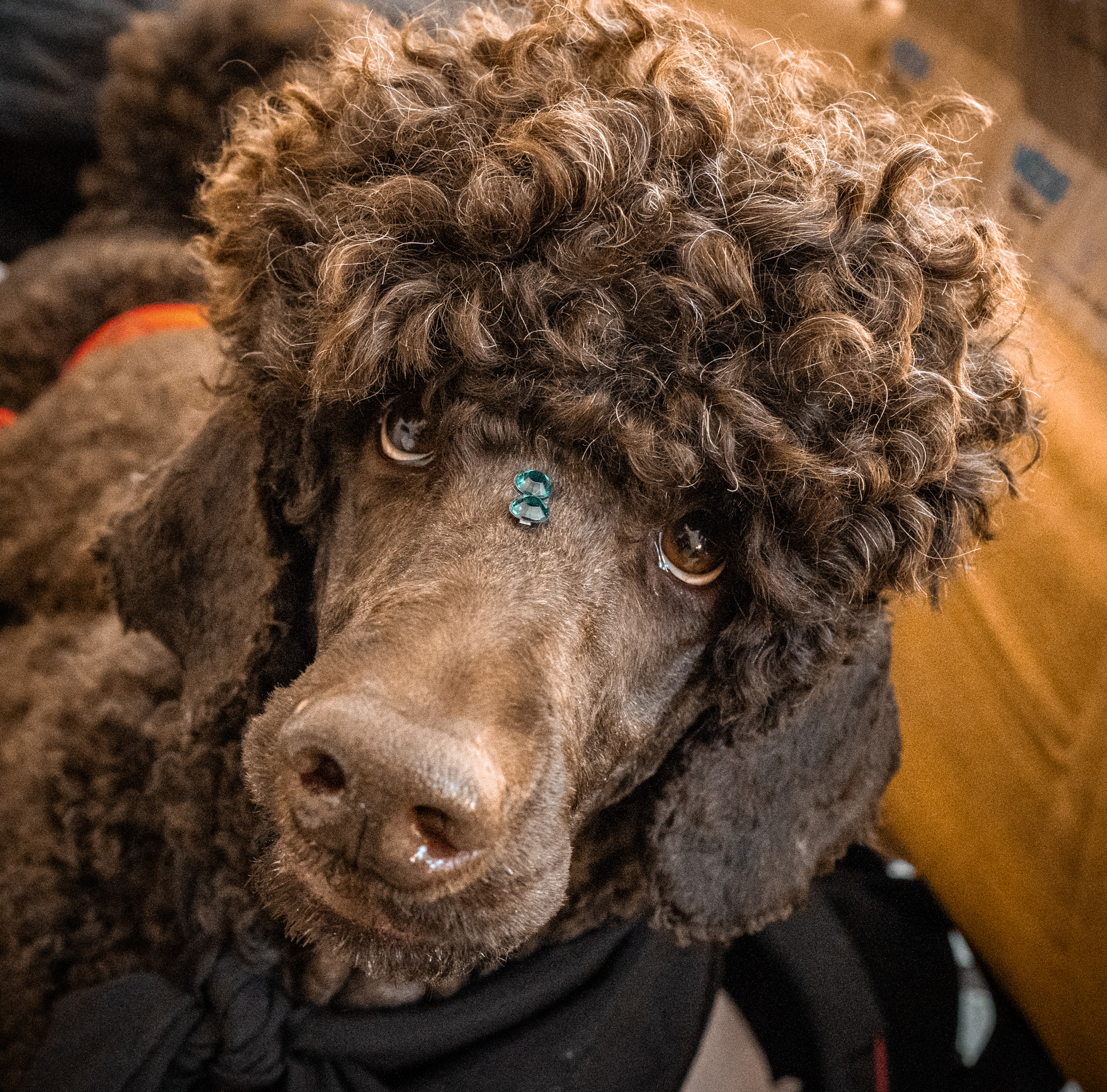 Fotografía Galería 2 17